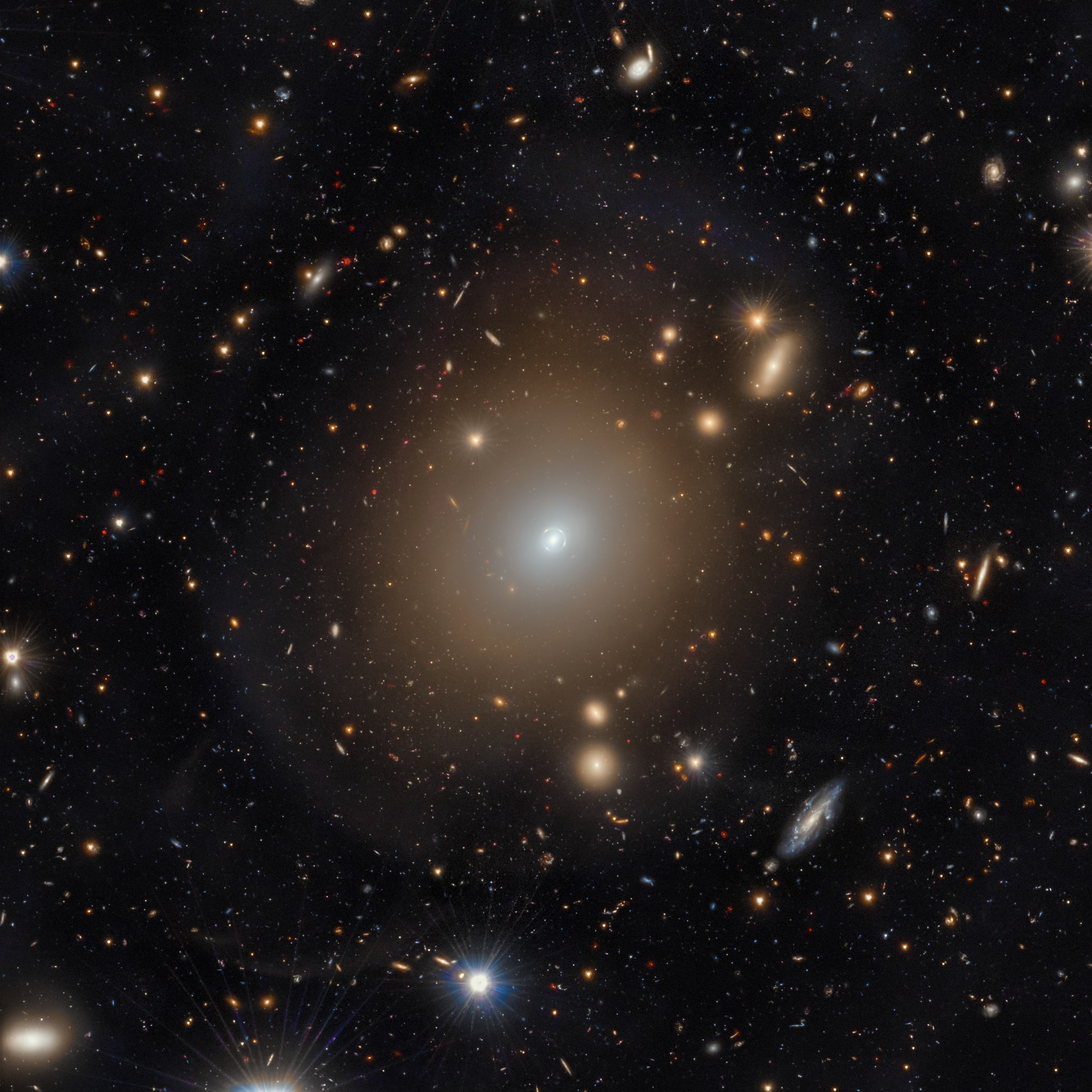 Euclid image of the Einstein ring around NGC 6505